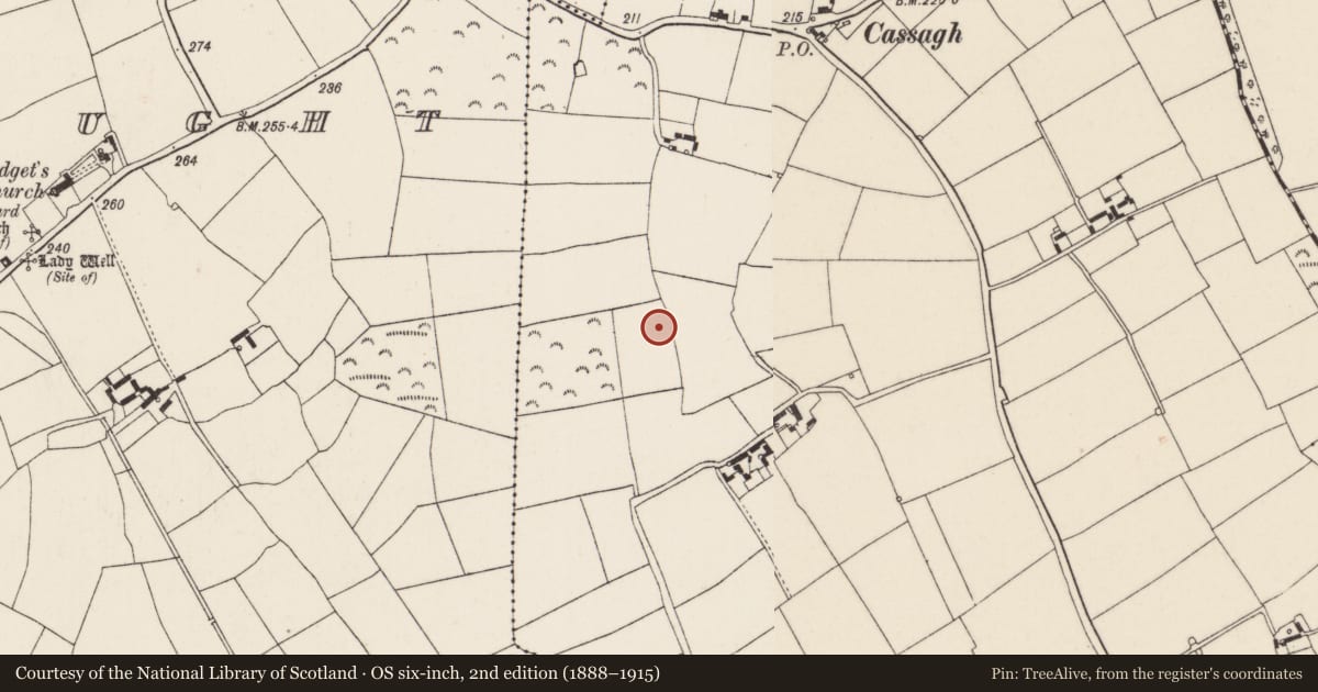 Ordnance Survey six-inch map, 2nd edition (1888–1915) covering the location of Burnt mound, Nash, County Wexford, with a pin at the register's coordinates