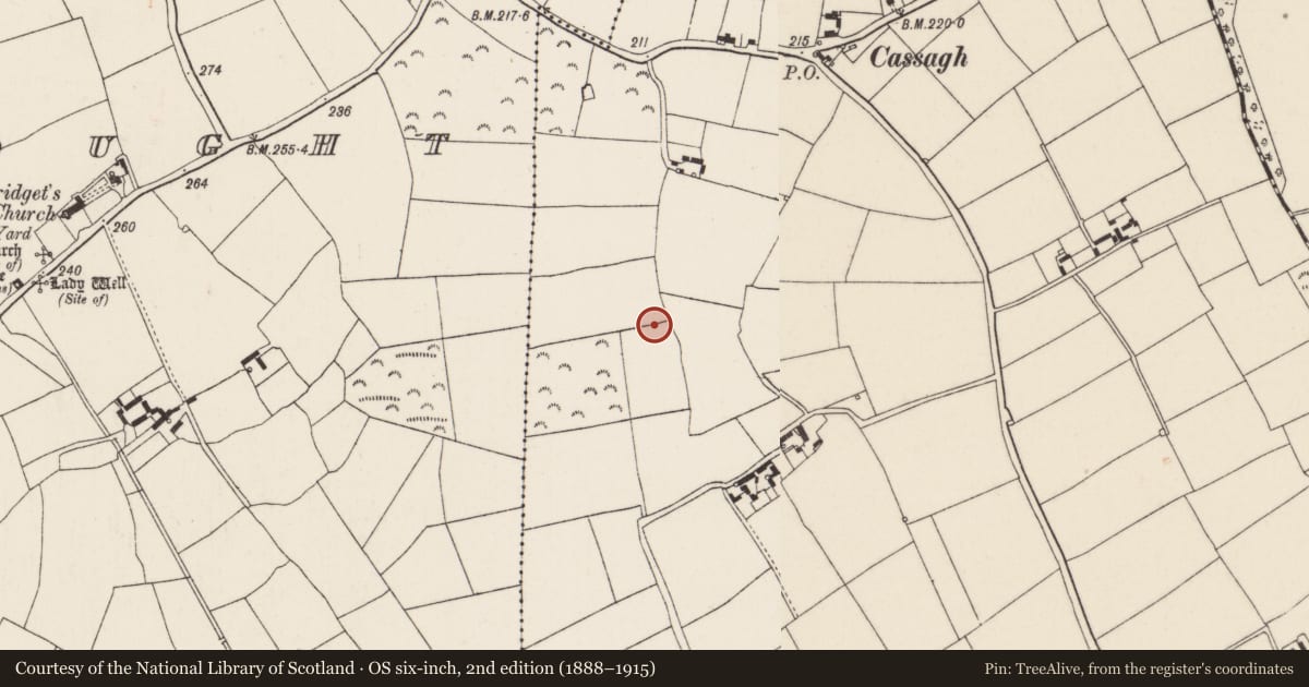 Ordnance Survey six-inch map, 2nd edition (1888–1915) covering the location of Burnt mound, Nash, County Wexford, with a pin at the register's coordinates