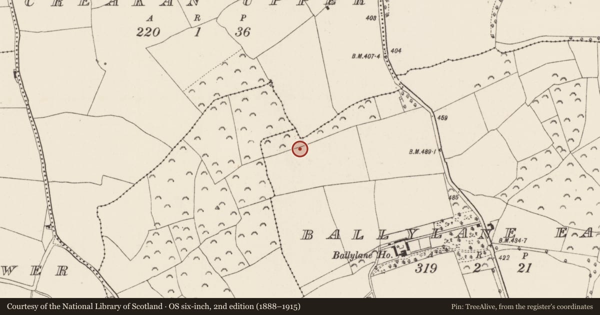 Ordnance Survey six-inch map, 2nd edition (1888–1915) covering the location of Ringfort - rath, Ballylane East, County Wexford, with a pin at the register's coordinates