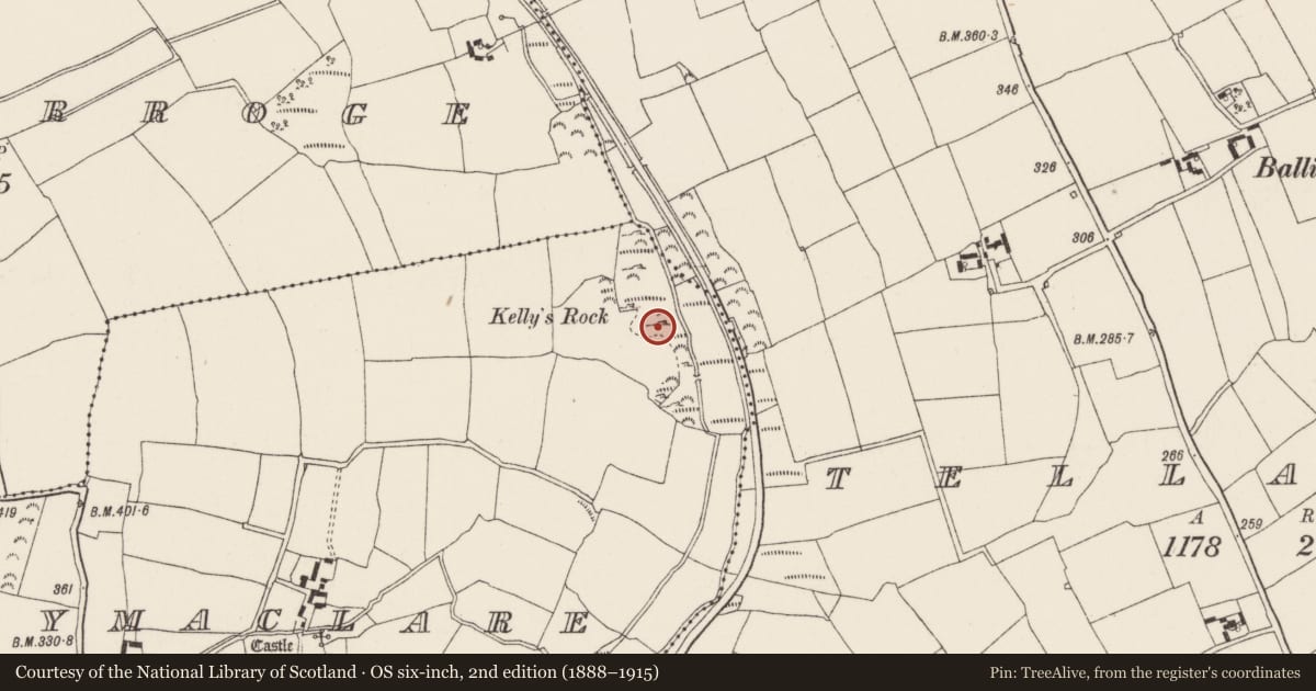 Ordnance Survey six-inch map, 2nd edition (1888–1915) covering the location of Barrow - unclassified, Ballymaclare, County Wexford, with a pin at the register's coordinates
