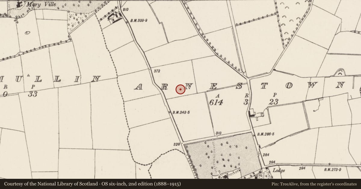 Ordnance Survey six-inch map, 2nd edition (1888–1915) covering the location of Ringfort - rath, Arnestown, County Wexford, with a pin at the register's coordinates