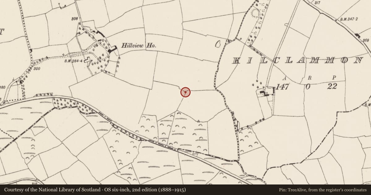 Ordnance Survey six-inch map, 2nd edition (1888–1915) covering the location of Ringfort - rath, Ballylane West, County Wexford, with a pin at the register's coordinates