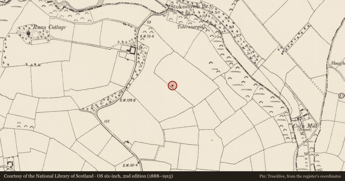 Ordnance Survey six-inch map, 2nd edition (1888–1915) covering the location of Road - road/trackway, Dunganstown, County Wexford, with a pin at the register's coordinates