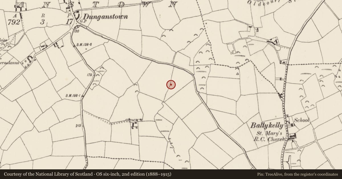 Ordnance Survey six-inch map, 2nd edition (1888–1915) covering the location of Road - road/trackway, Dunganstown, County Wexford, with a pin at the register's coordinates