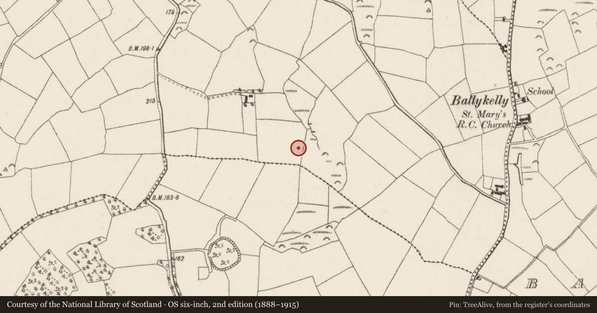 Ordnance Survey six-inch map, 2nd edition (1888–1915) covering the location of Road - road/trackway, Dunganstown, County Wexford, with a pin at the register's coordinates