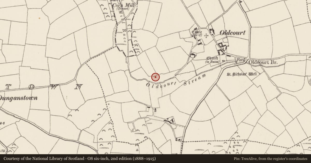 Ordnance Survey six-inch map, 2nd edition (1888–1915) covering the location of Ringfort - rath, Oldcourt, County Wexford, with a pin at the register's coordinates