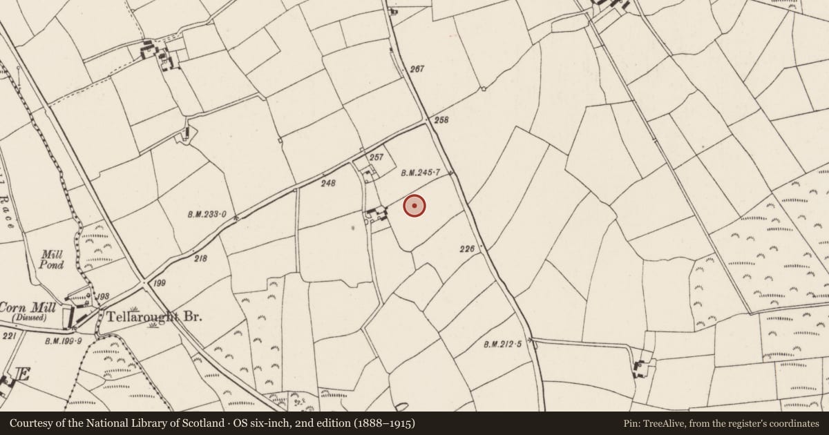Ordnance Survey six-inch map, 2nd edition (1888–1915) covering the location of Ringfort - rath, Tellarought, County Wexford, with a pin at the register's coordinates