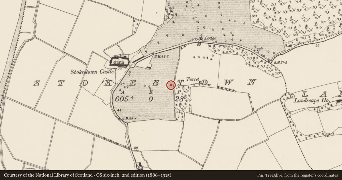Ordnance Survey six-inch map, 2nd edition (1888–1915) covering the location of Excavation - miscellaneous, Stokestown, County Wexford, with a pin at the register's coordinates