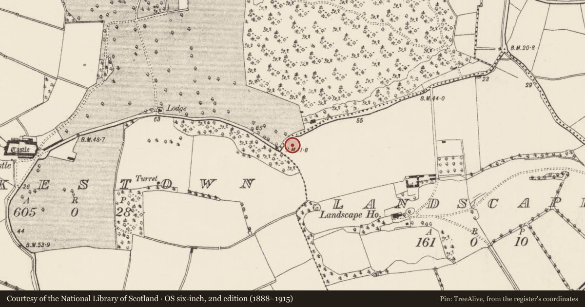 Ordnance Survey six-inch map, 2nd edition (1888–1915) covering the location of Charcoal-making site, Landscape, County Wexford, with a pin at the register's coordinates