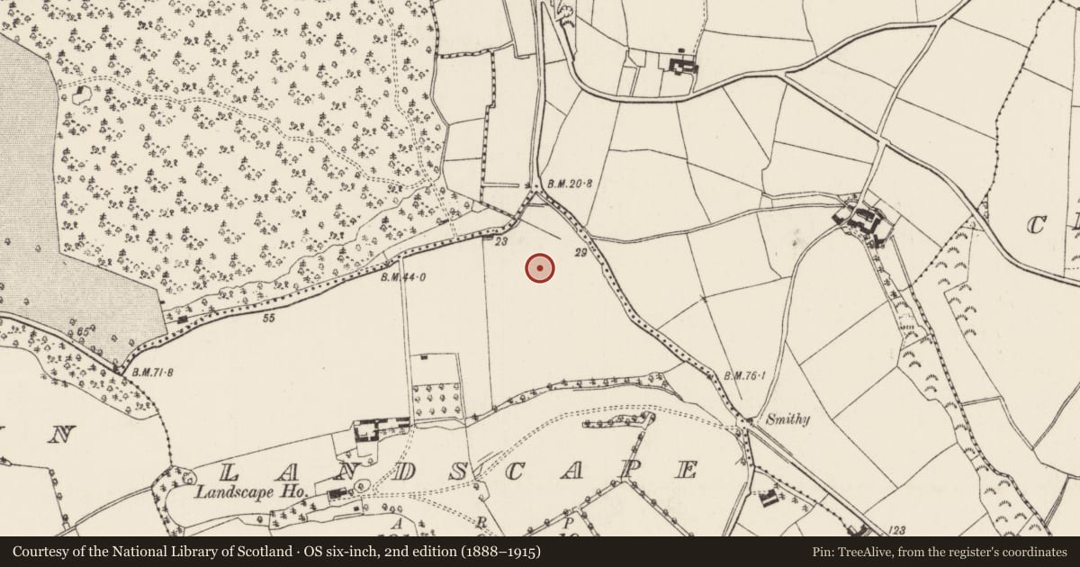 Ordnance Survey six-inch map, 2nd edition (1888–1915) covering the location of House - medieval, Landscape, County Wexford, with a pin at the register's coordinates