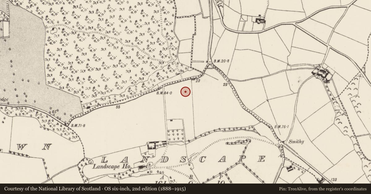 Ordnance Survey six-inch map, 2nd edition (1888–1915) covering the location of Charcoal-making site, Landscape, County Wexford, with a pin at the register's coordinates