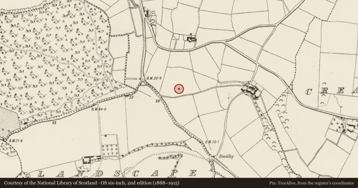 Ordnance Survey six-inch map, 2nd edition (1888–1915) covering the location of Kiln - corn-drying, Camlin, County Wexford, with a pin at the register's coordinates