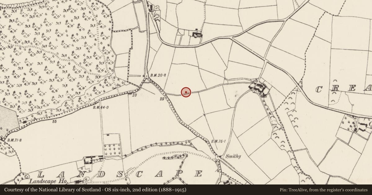 Ordnance Survey six-inch map, 2nd edition (1888–1915) covering the location of Burnt mound, Camlin, County Wexford, with a pin at the register's coordinates