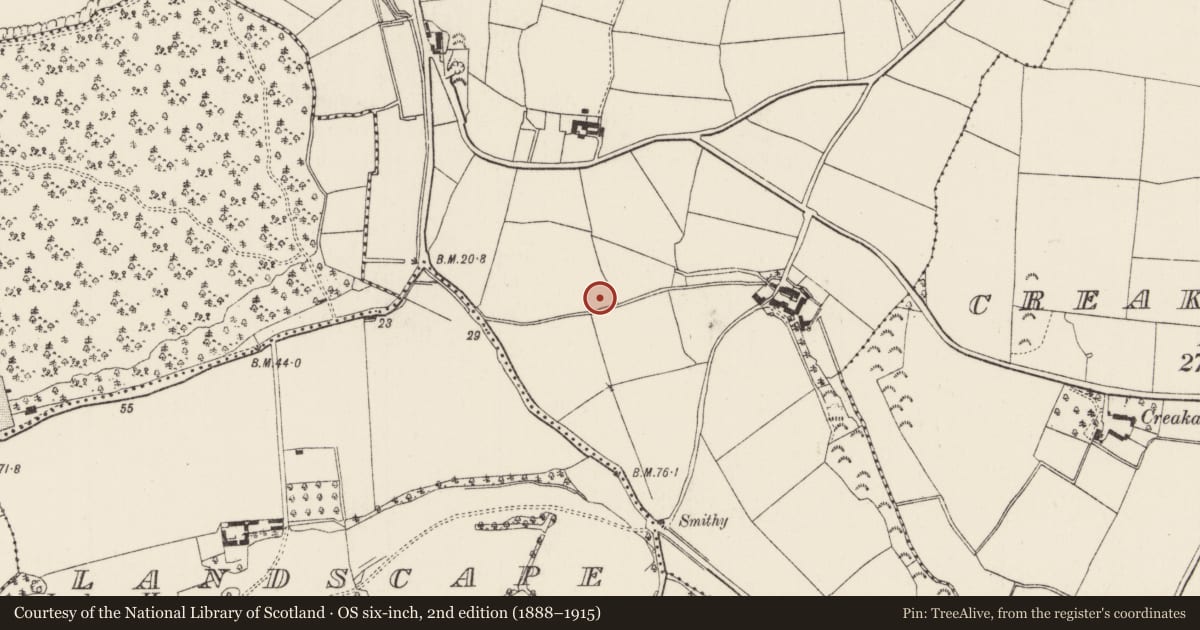 Ordnance Survey six-inch map, 2nd edition (1888–1915) covering the location of Burnt mound, Camlin, County Wexford, with a pin at the register's coordinates