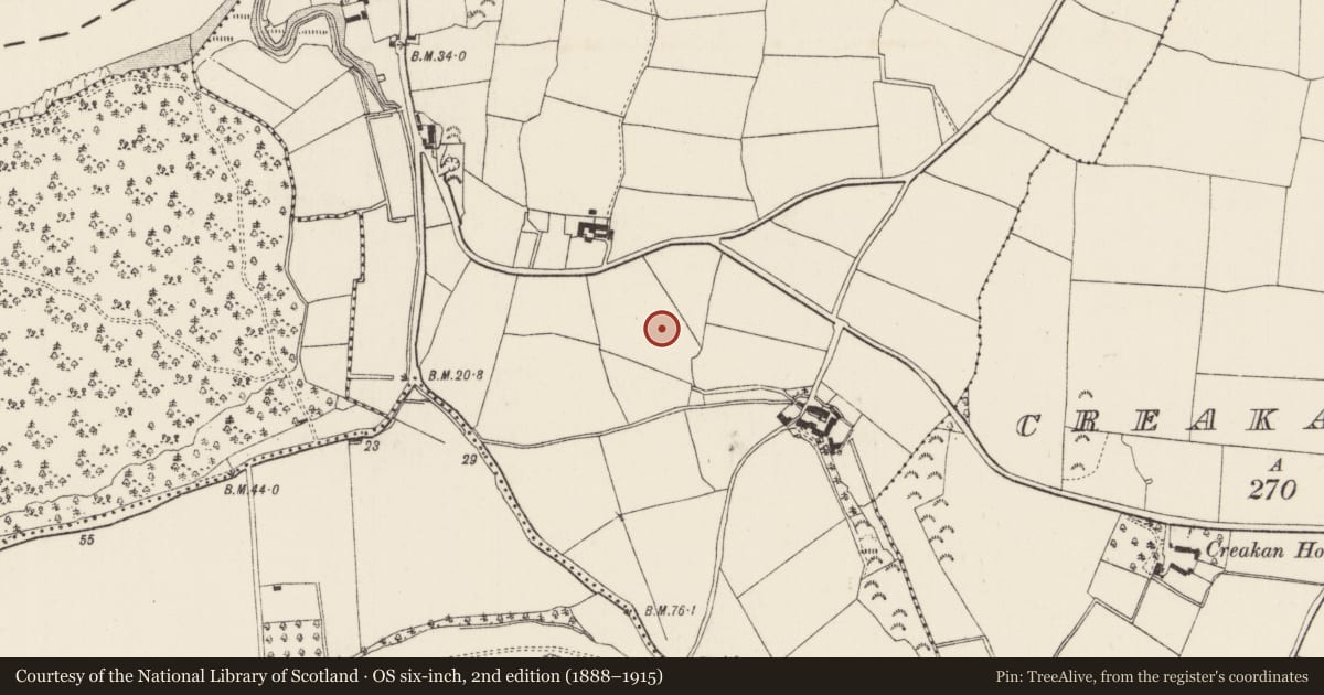 Ordnance Survey six-inch map, 2nd edition (1888–1915) covering the location of Pit-burial, Camlin, County Wexford, with a pin at the register's coordinates