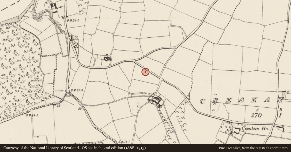 Ordnance Survey six-inch map, 2nd edition (1888–1915) covering the location of Flat cemetery, Camlin, County Wexford, with a pin at the register's coordinates