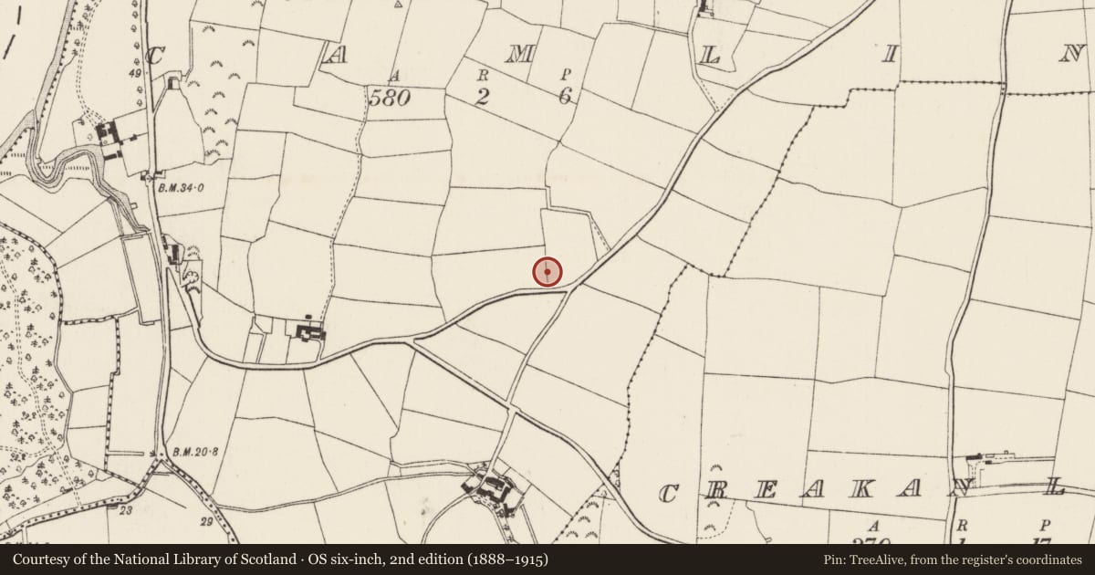 Ordnance Survey six-inch map, 2nd edition (1888–1915) covering the location of Charcoal-making site, Camlin, County Wexford, with a pin at the register's coordinates