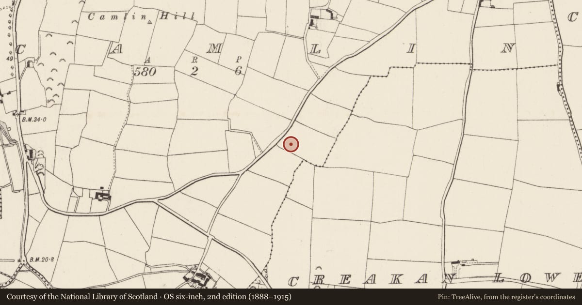 Ordnance Survey six-inch map, 2nd edition (1888–1915) covering the location of Charcoal-making site, Camlin, County Wexford, with a pin at the register's coordinates