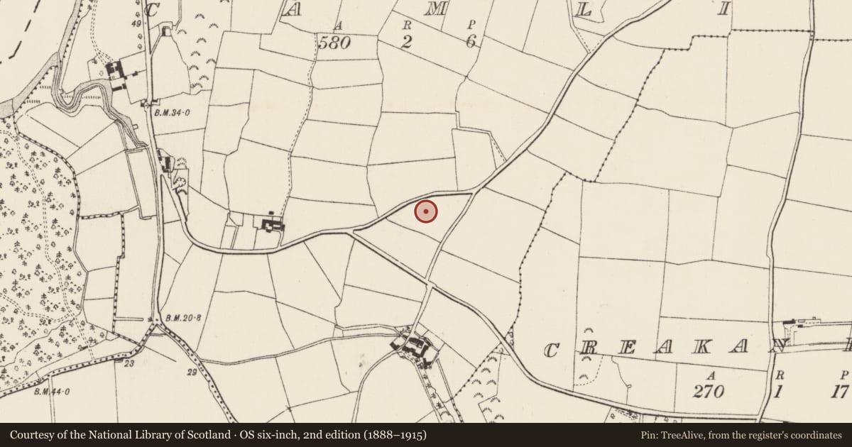 Ordnance Survey six-inch map, 2nd edition (1888–1915) covering the location of Charcoal-making site, Camlin, County Wexford, with a pin at the register's coordinates