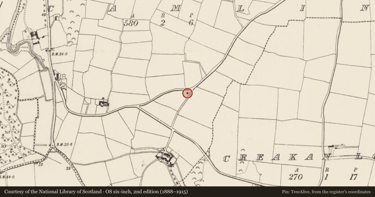 Ordnance Survey six-inch map, 2nd edition (1888–1915) covering the location of Excavation - miscellaneous, Camlin, County Wexford, with a pin at the register's coordinates