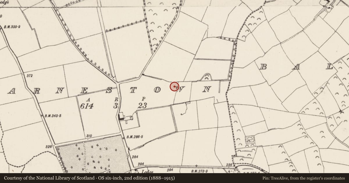 Ordnance Survey six-inch map, 2nd edition (1888–1915) covering the location of Fulacht fia, Arnestown, County Wexford, with a pin at the register's coordinates