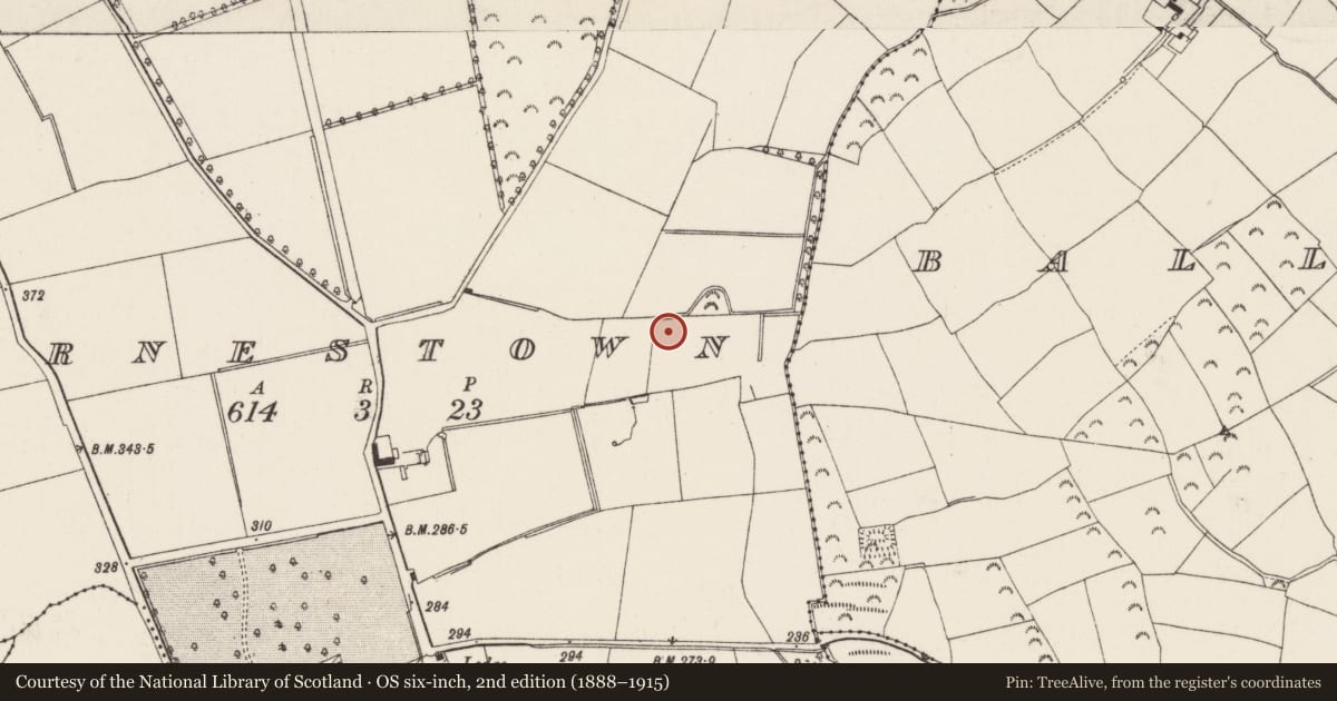 Ordnance Survey six-inch map, 2nd edition (1888–1915) covering the location of Fulacht fia, Arnestown, County Wexford, with a pin at the register's coordinates