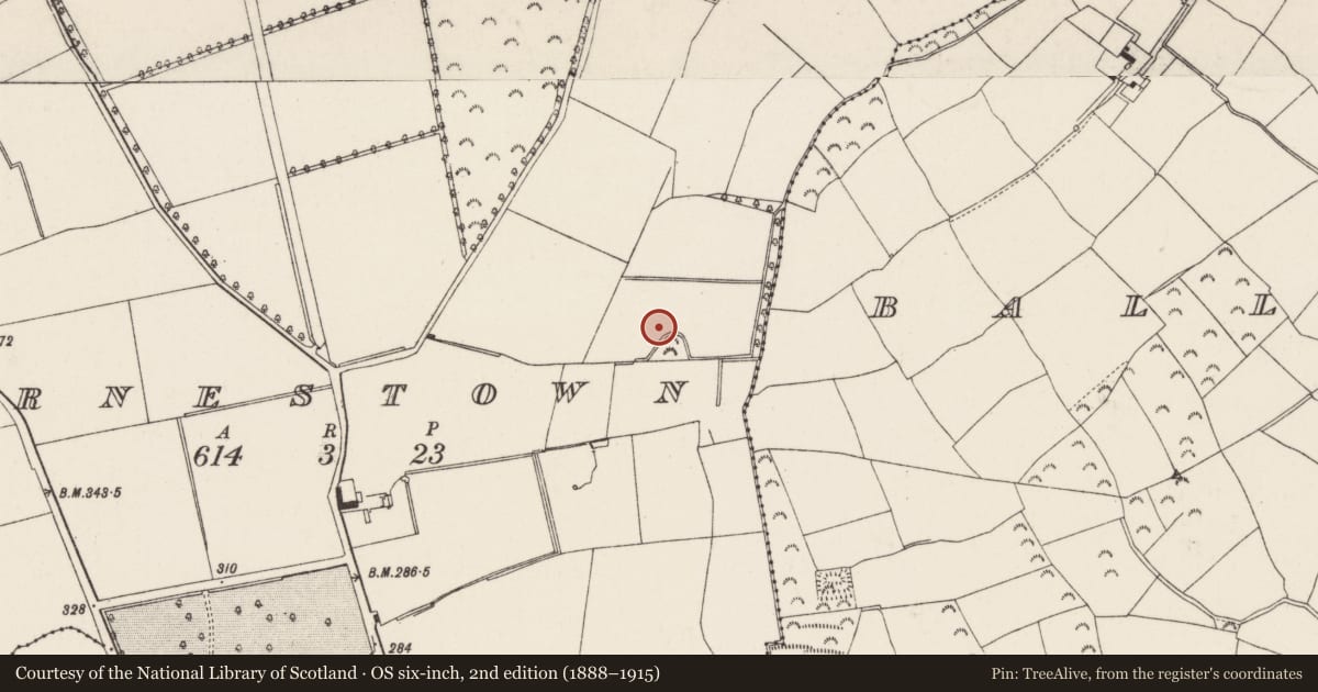 Ordnance Survey six-inch map, 2nd edition (1888–1915) covering the location of Fulacht fia, Arnestown, County Wexford, with a pin at the register's coordinates