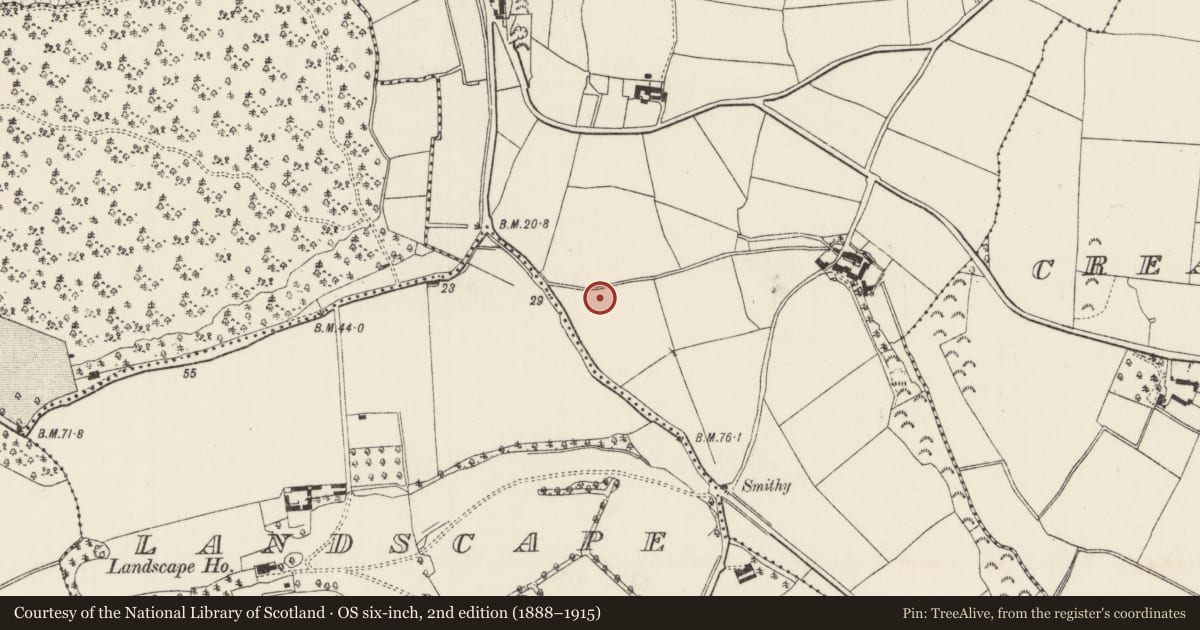 Ordnance Survey six-inch map, 2nd edition (1888–1915) covering the location of Pit-burial, Camlin, County Wexford, with a pin at the register's coordinates