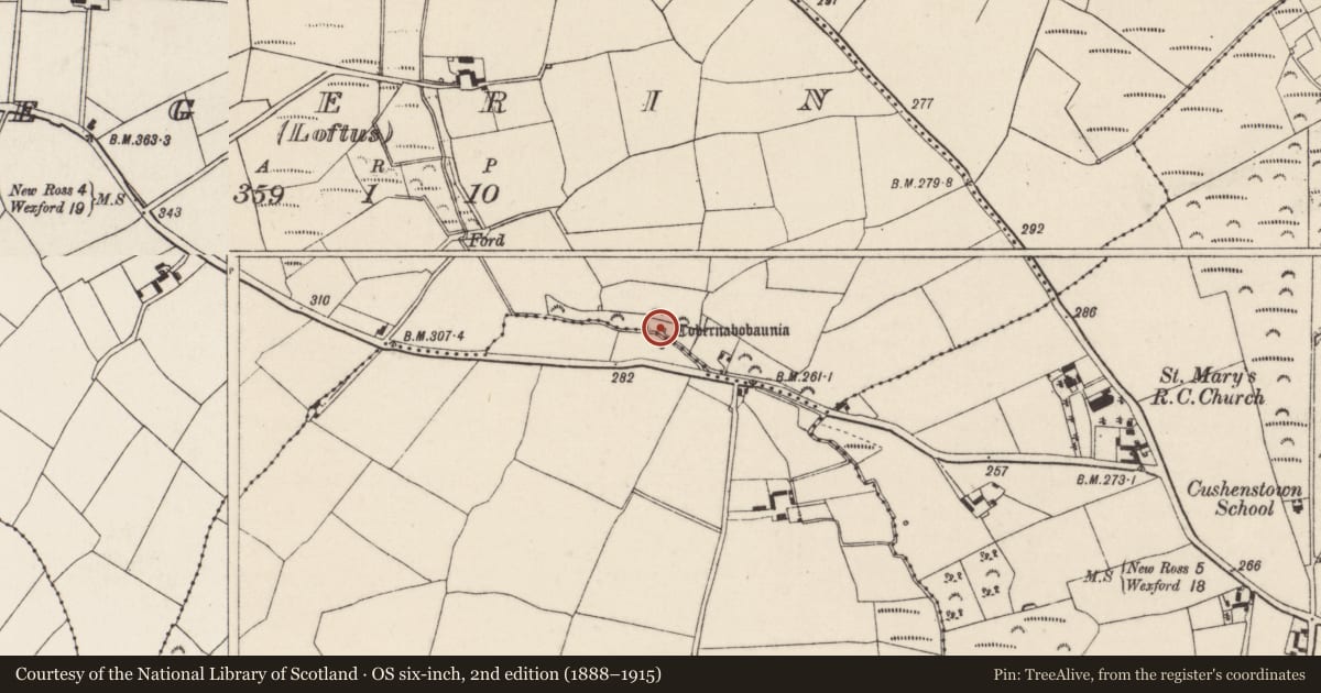Ordnance Survey six-inch map, 2nd edition (1888–1915) covering the location of Ritual site - holy well, Begerin (Loftus), County Wexford, with a pin at the register's coordinates