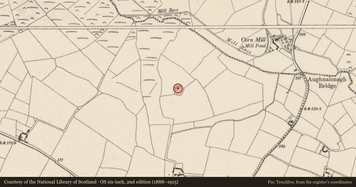 Ordnance Survey six-inch map, 2nd edition (1888–1915) covering the location of Ringfort - rath, Cushenstown, County Wexford, with a pin at the register's coordinates