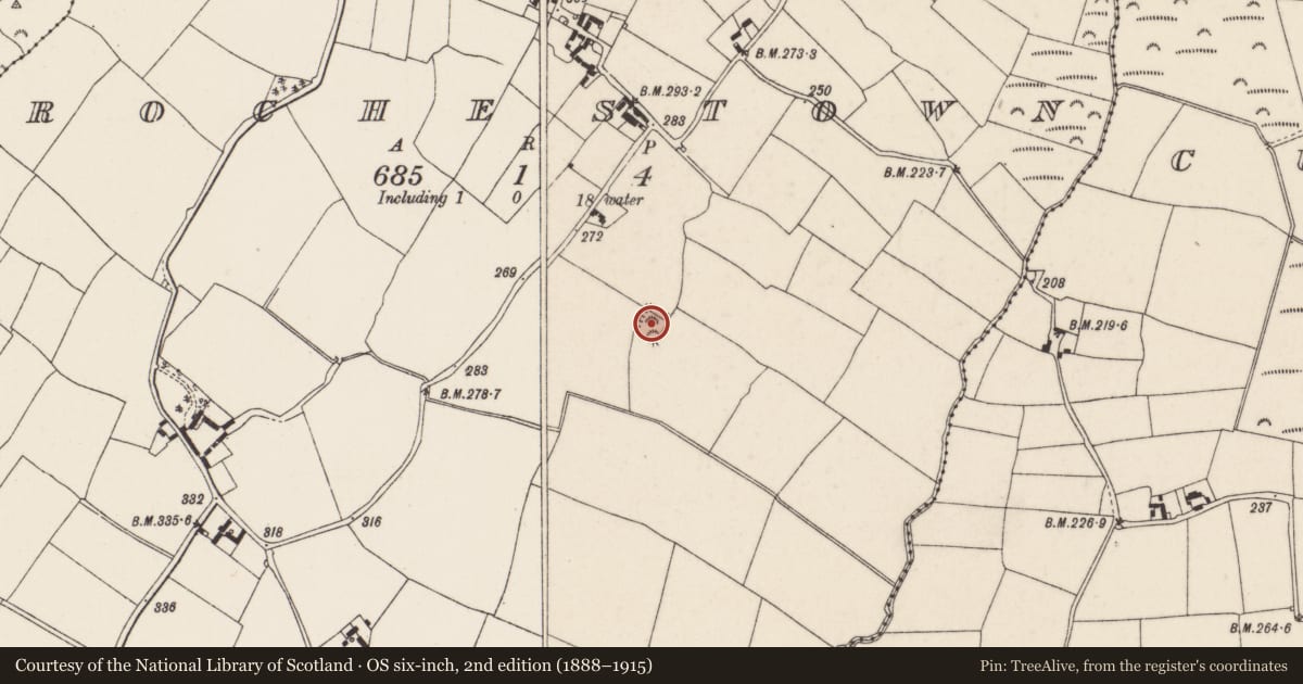 Ordnance Survey six-inch map, 2nd edition (1888–1915) covering the location of Moated site, Rochestown, County Wexford, with a pin at the register's coordinates