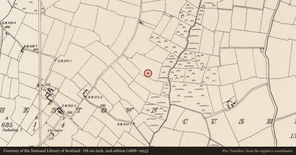 Ordnance Survey six-inch map, 2nd edition (1888–1915) covering the location of Ringfort - unclassified, Rochestown, County Wexford, with a pin at the register's coordinates
