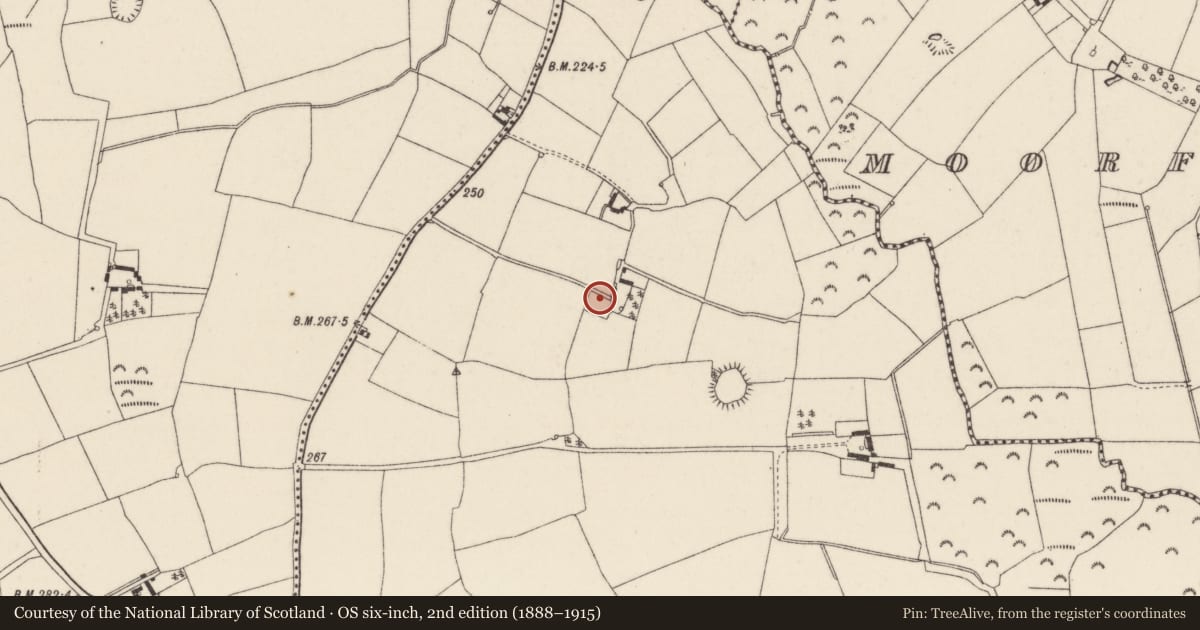Ordnance Survey six-inch map, 2nd edition (1888–1915) covering the location of Enclosure, Ballynabola, County Wexford, with a pin at the register's coordinates