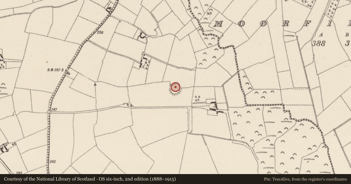 Ordnance Survey six-inch map, 2nd edition (1888–1915) covering the location of Ringfort - rath, Ballynabola, County Wexford, with a pin at the register's coordinates