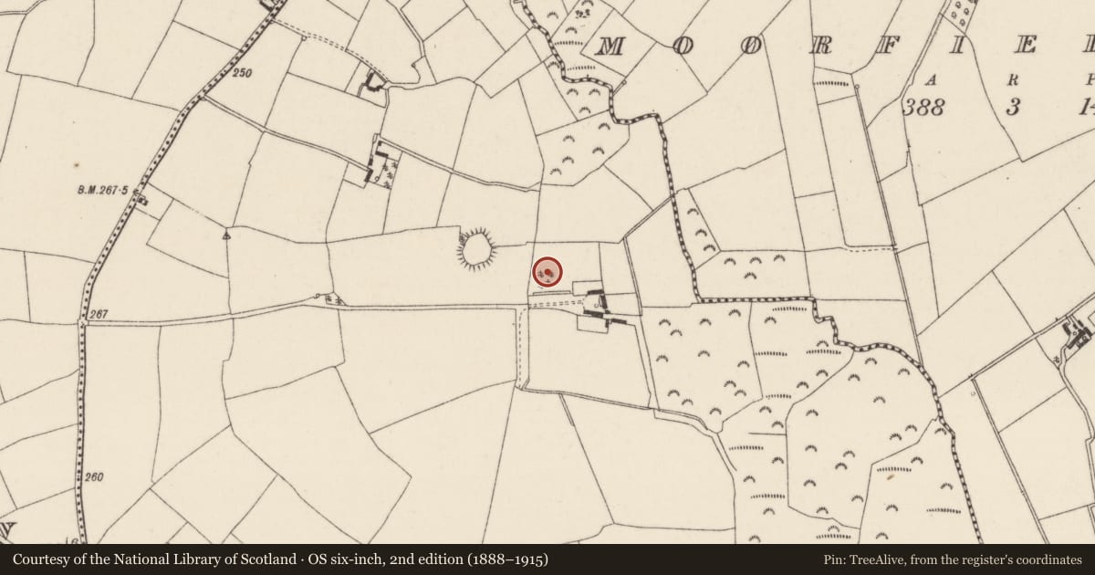 Ordnance Survey six-inch map, 2nd edition (1888–1915) covering the location of Moated site, Ballynabola, County Wexford, with a pin at the register's coordinates