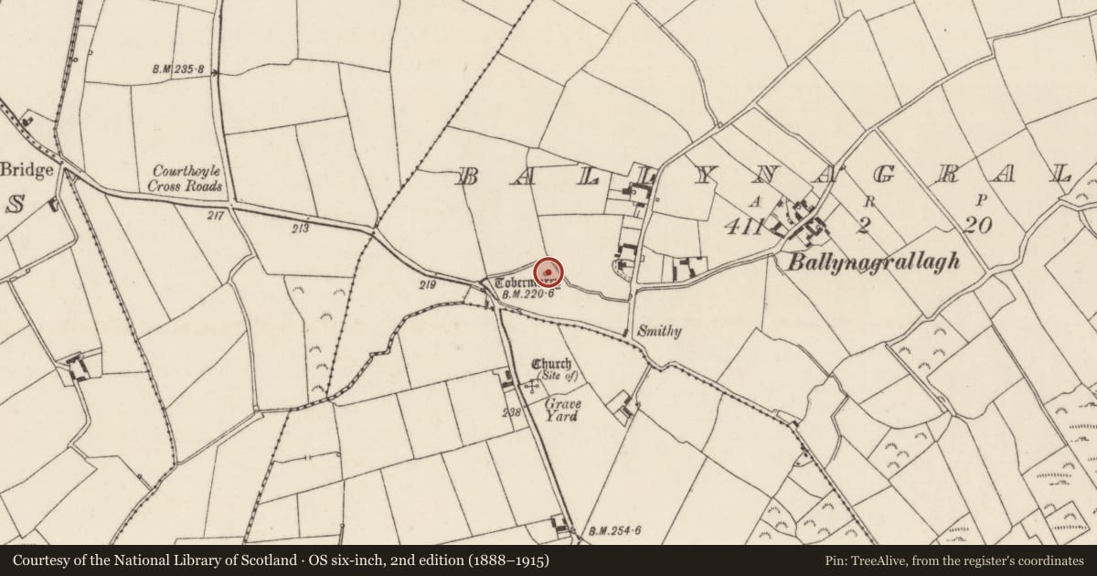 Ordnance Survey six-inch map, 2nd edition (1888–1915) covering the location of Ritual site - holy well, Ballynagrallagh, County Wexford, with a pin at the register's coordinates