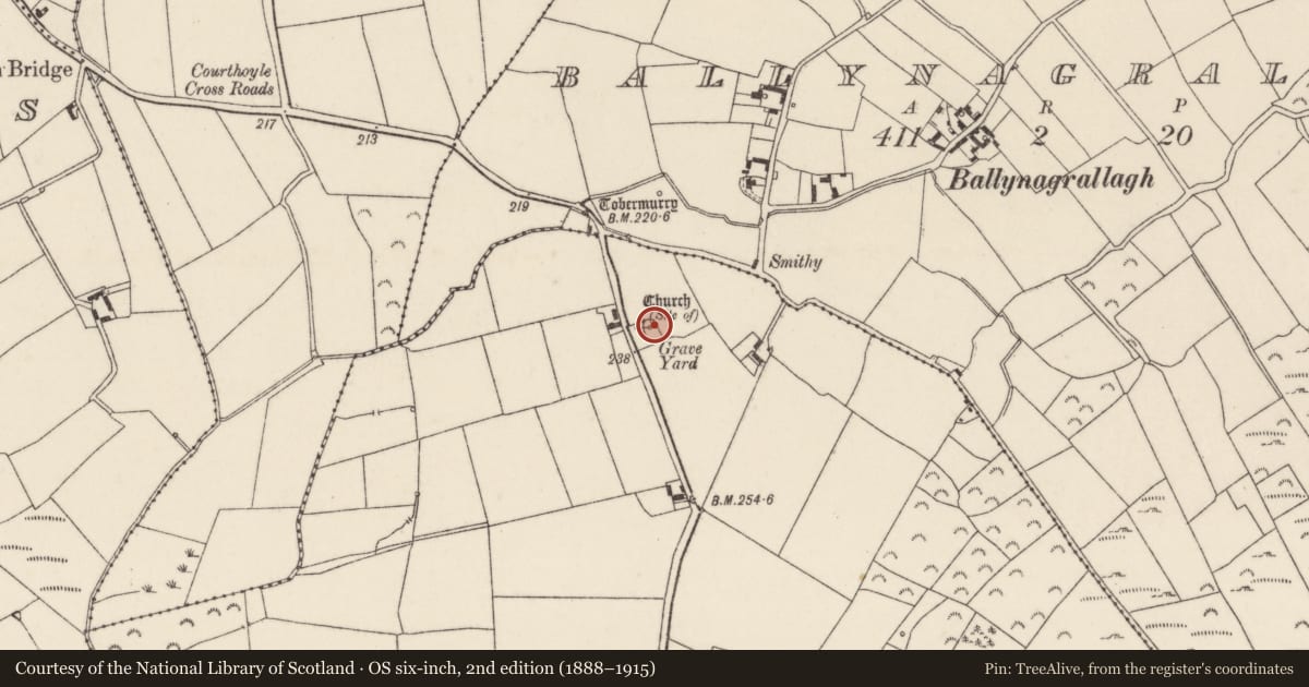 Ordnance Survey six-inch map, 2nd edition (1888–1915) covering the location of Bullaun stone, Courthoyle Old, County Wexford, with a pin at the register's coordinates