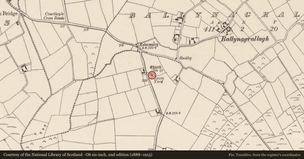Ordnance Survey six-inch map, 2nd edition (1888–1915) covering the location of Cross, Courthoyle Old, County Wexford, with a pin at the register's coordinates