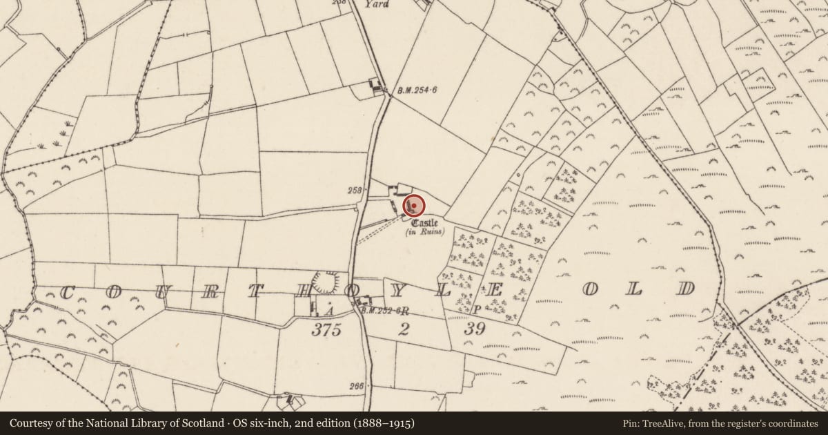 Ordnance Survey six-inch map, 2nd edition (1888–1915) covering the location of Castle - tower house, Courthoyle Old, County Wexford, with a pin at the register's coordinates
