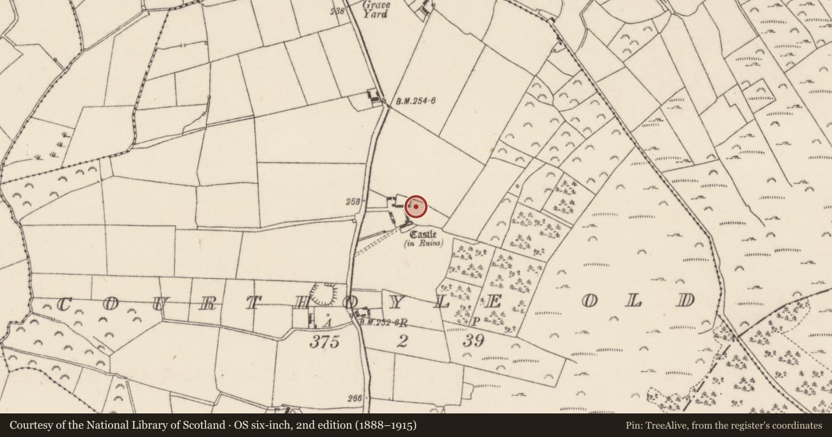 Ordnance Survey six-inch map, 2nd edition (1888–1915) covering the location of Castle - ringwork, Courthoyle Old, County Wexford, with a pin at the register's coordinates