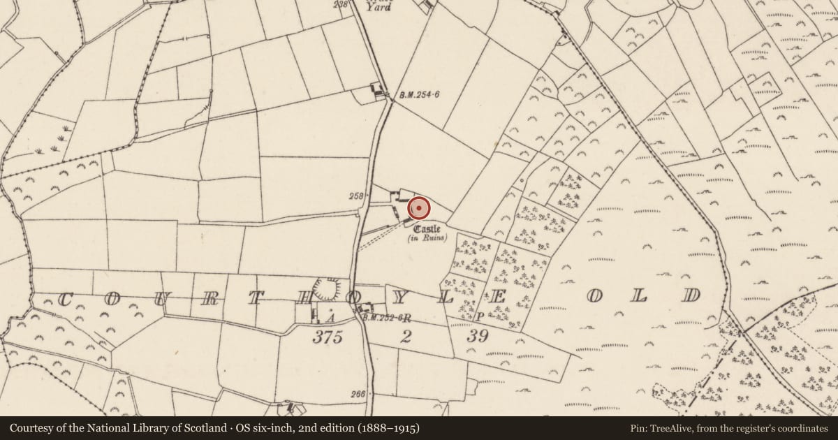 Ordnance Survey six-inch map, 2nd edition (1888–1915) covering the location of Souterrain, Courthoyle Old, County Wexford, with a pin at the register's coordinates