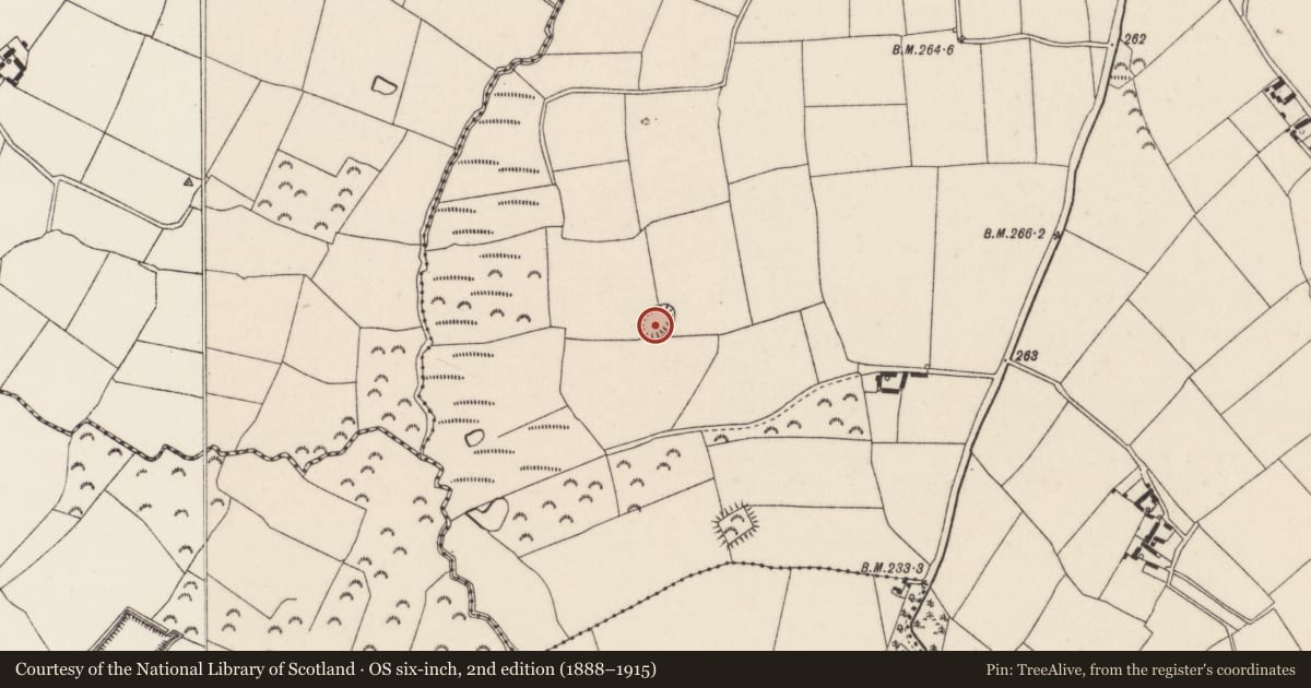 Ordnance Survey six-inch map, 2nd edition (1888–1915) covering the location of Ringfort - rath, Cushenstown, County Wexford, with a pin at the register's coordinates