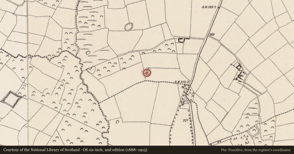 Ordnance Survey six-inch map, 2nd edition (1888–1915) covering the location of Moated site, Cushenstown, County Wexford, with a pin at the register's coordinates
