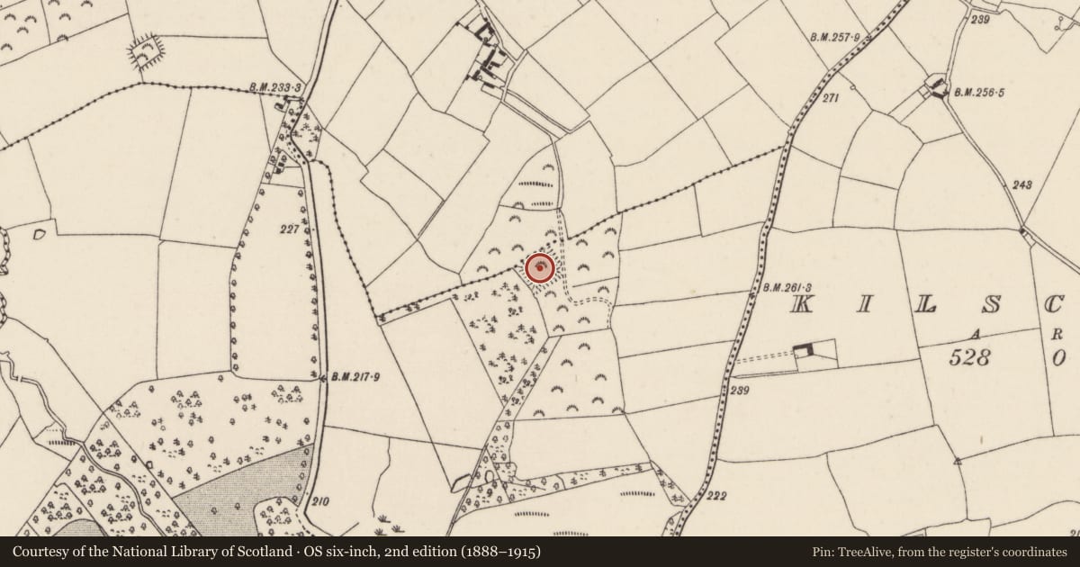 Ordnance Survey six-inch map, 2nd edition (1888–1915) covering the location of Moated site, Carnagh, County Wexford, with a pin at the register's coordinates