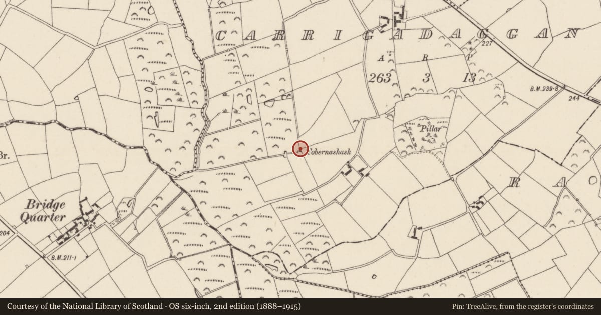 Ordnance Survey six-inch map, 2nd edition (1888–1915) covering the location of Well, Carrigadaggan, County Wexford, with a pin at the register's coordinates