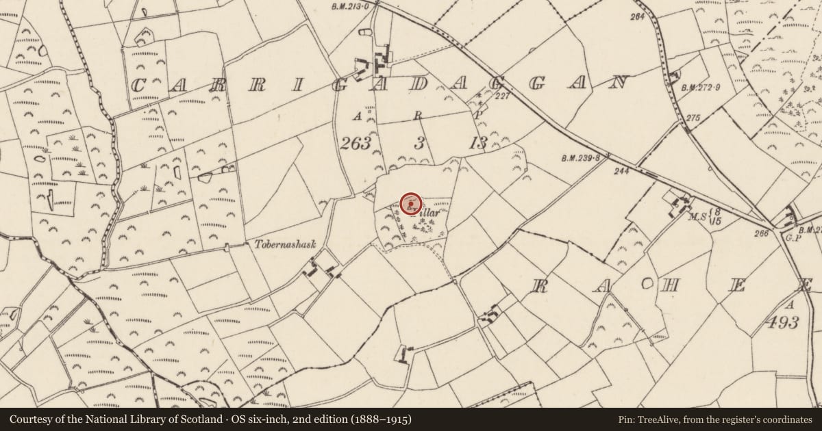 Ordnance Survey six-inch map, 2nd edition (1888–1915) covering the location of Monumental structure, Carrigadaggan, County Wexford, with a pin at the register's coordinates
