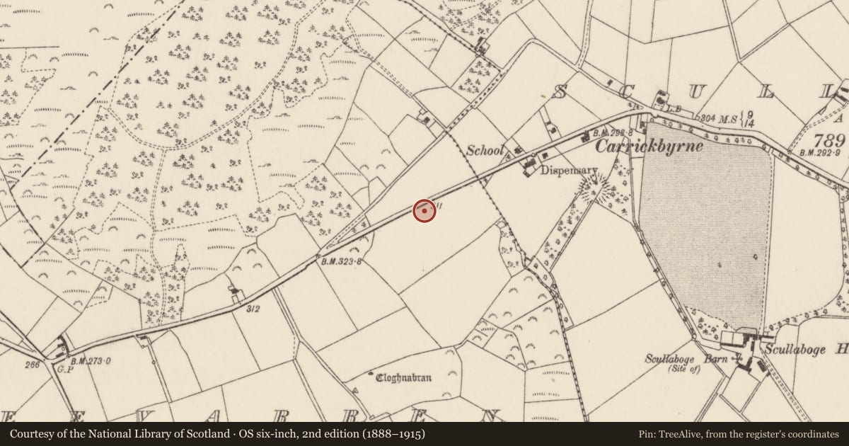 Ordnance Survey six-inch map, 2nd edition (1888–1915) covering the location of Ringfort - unclassified, Raheevarren, County Wexford, with a pin at the register's coordinates