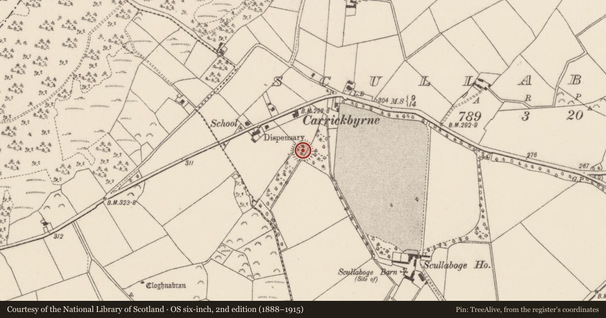Ordnance Survey six-inch map, 2nd edition (1888–1915) covering the location of Ringfort - rath, Scullaboge, County Wexford, with a pin at the register's coordinates