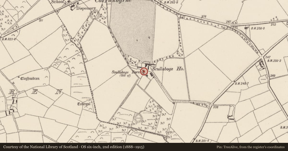 Ordnance Survey six-inch map, 2nd edition (1888–1915) covering the location of Structure, Scullaboge, County Wexford, with a pin at the register's coordinates
