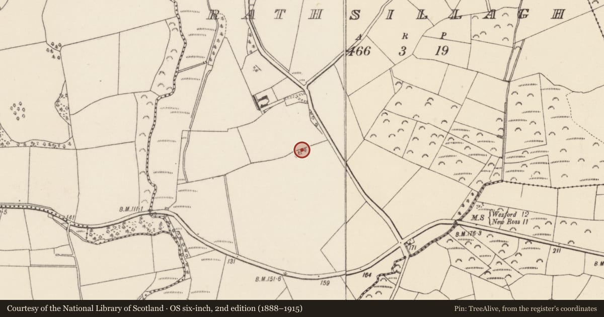 Ordnance Survey six-inch map, 2nd edition (1888–1915) covering the location of Ringfort - rath, Rathsillagh, County Wexford, with a pin at the register's coordinates